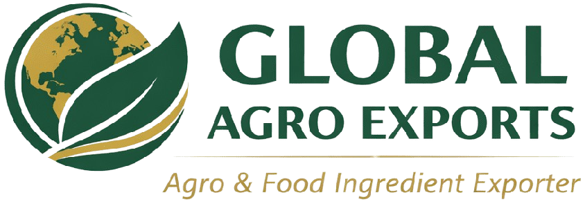 final logo1 removebg preview